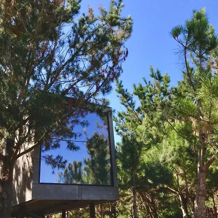 Desertas And Sport Costa Nova