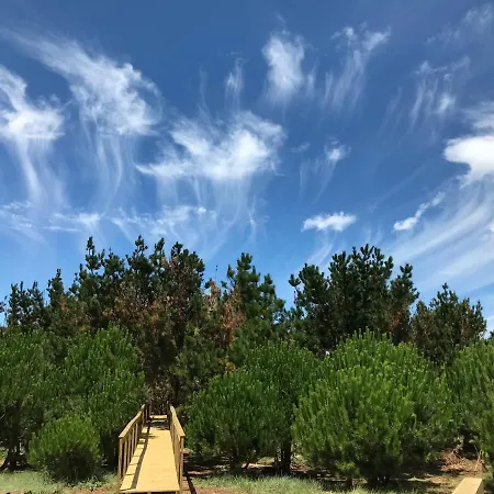 Desertas And Sport Casa de Férias