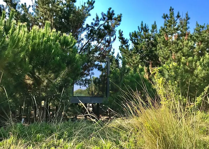 Desertas And Sport * Costa Nova