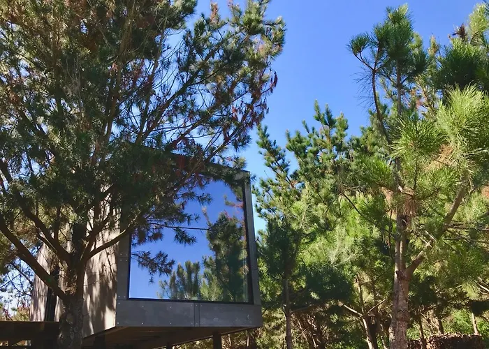 Desertas And Sport Costa Nova