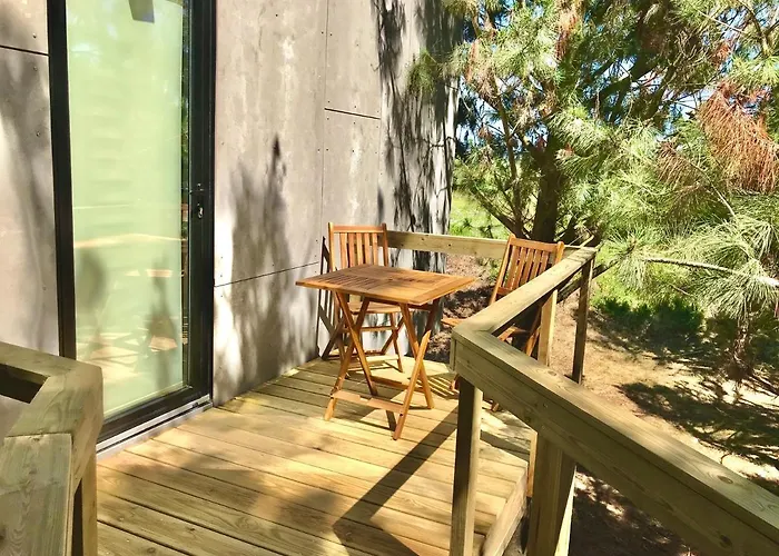 Desertas And Sport Costa Nova