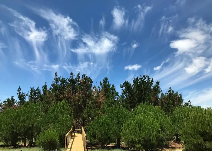 Desertas And Sport Casa de Férias