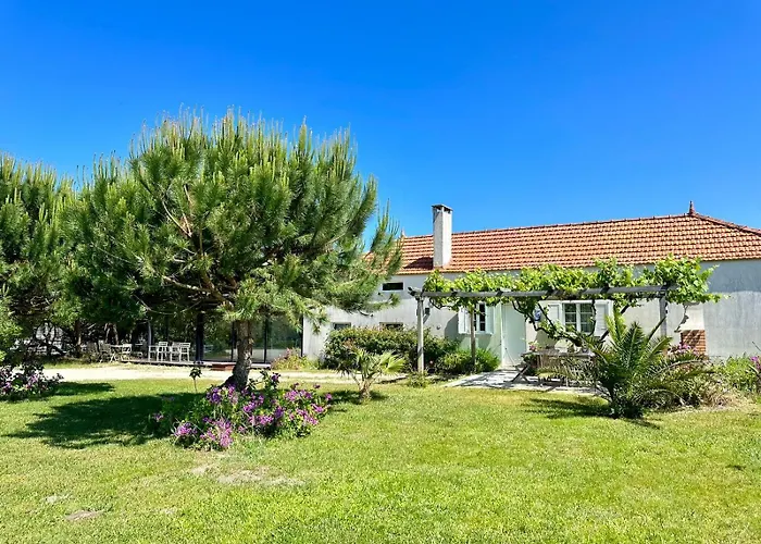 Desertas And Sport *